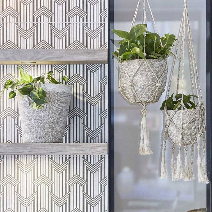 Agora Bin Set of 2