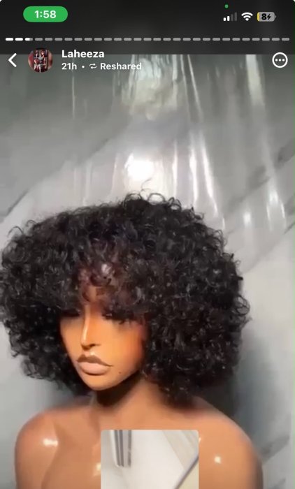 Mini celebrity fringe