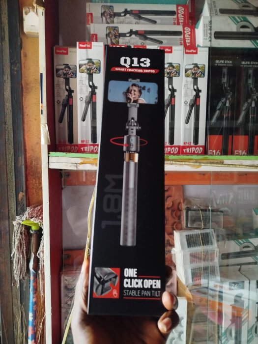 Q13 Smart Tracking Tripod