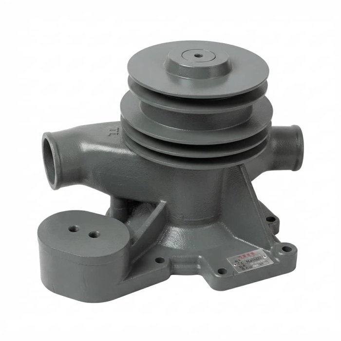 Heavy-Duty Grey Cast Iron Water Pump Assembly