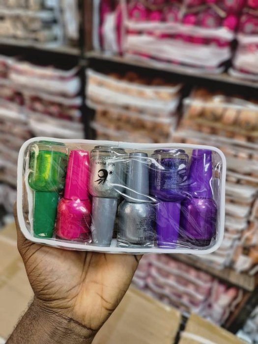 Assorted Color Nail Polish Set in Clear Pouch - 6 Bottles (25ml Each)