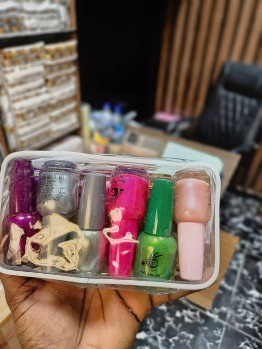 Assorted 6-Color Nail Polish Set in Clear Pouch
